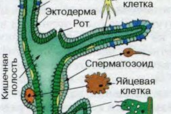 Кракен вход официальный сайт