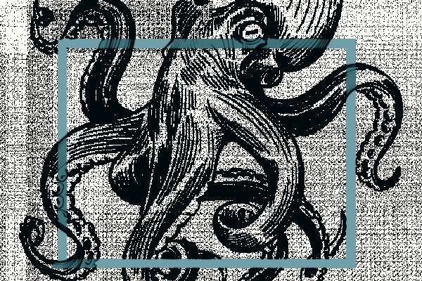 Kraken 19 at