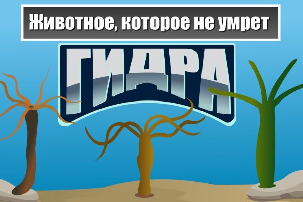 Kra34.at