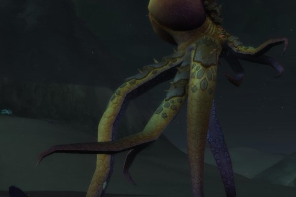 Kraken 12 at